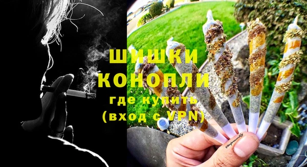 дурь Бронницы