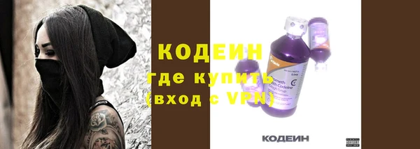 прущий лед Бородино