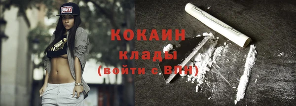 прущий лед Бородино